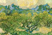 Vincent Van Gogh Olive Trees with the Alpilles in the Background china oil painting reproduction